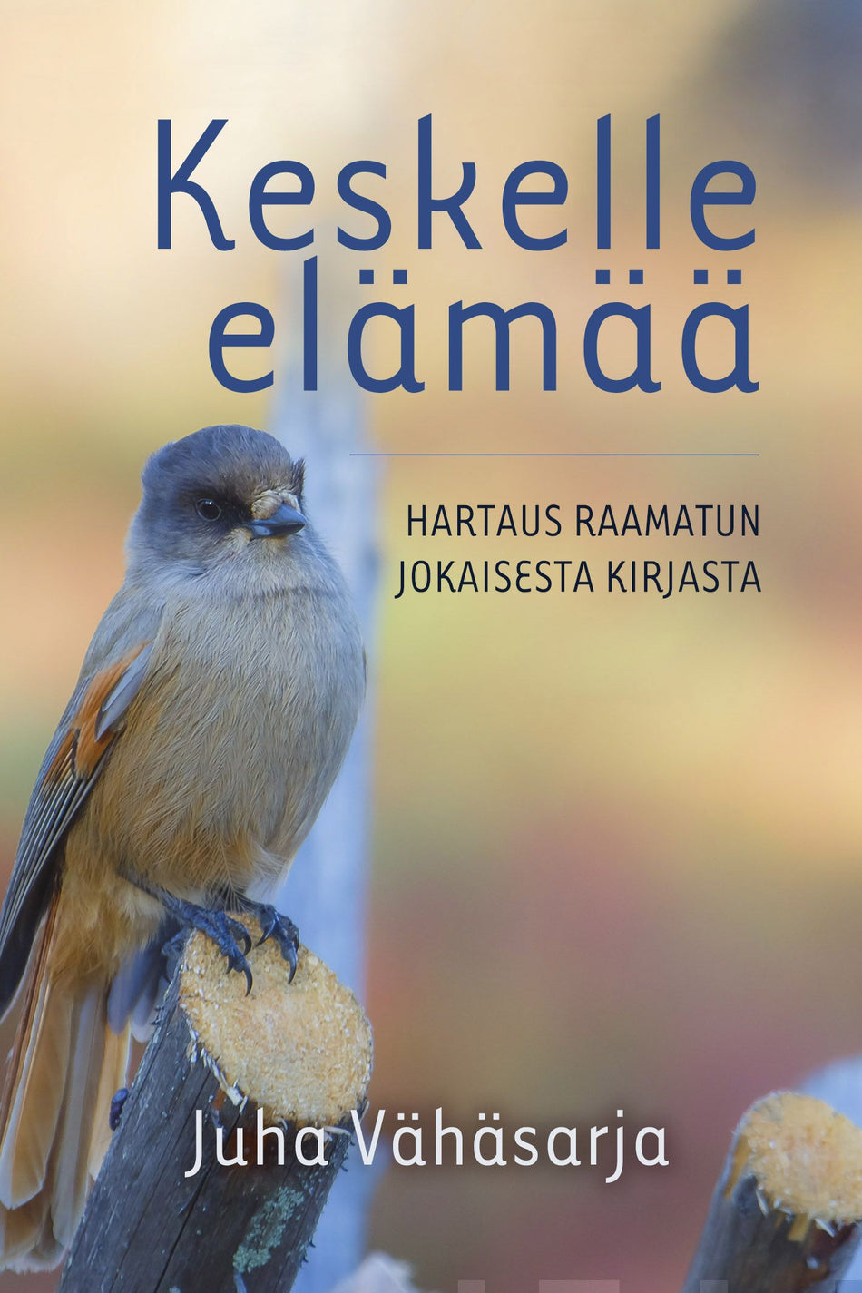 Valokuva kirjasta Juha Vähäsarja Keskelle elämää, kuuluu tuoteryhmään Uskonto raamatut.