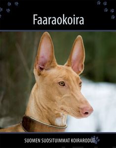Valokuva kirjasta  Faaraokoira, kuuluu tuoteryhmään Luonto.