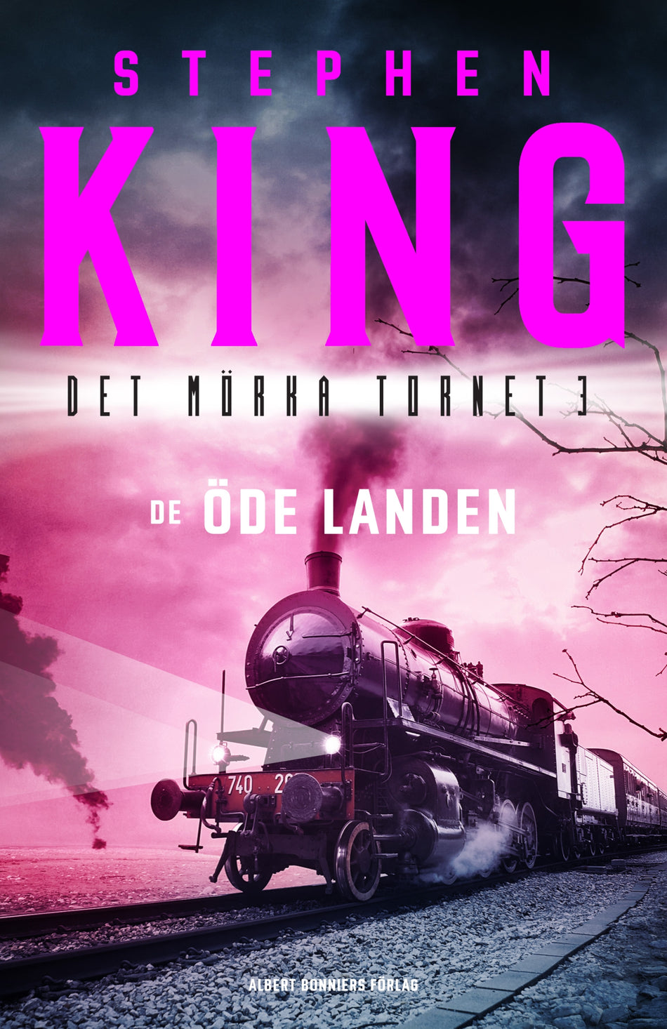 Valokuva kirjasta Stephen King De öde landen, kuuluu tuoteryhmään Ruots kaunokirjat.