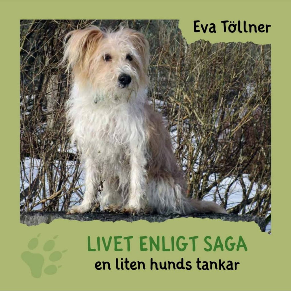 Valokuva kirjasta Eva Töllner Livet enligt Saga : en liten hunds tankar, kuuluu tuoteryhmään Ruots lapset nuoret ja sarjakuvat.