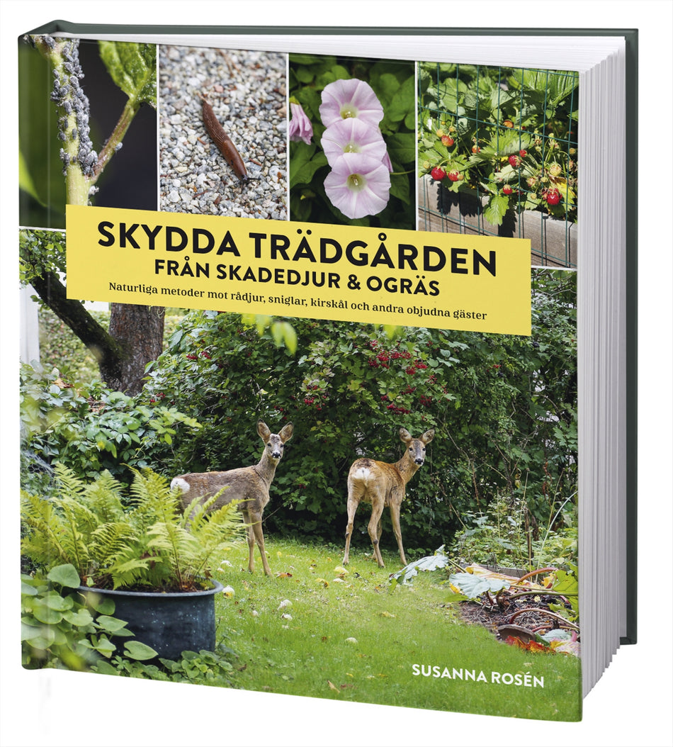 Valokuva kirjasta Susanna Rosén Skydda trädgården från skadedjur &amp; ogräs : naturliga metoder mot rådjur, sniglar, kirskål och andra objudna gäster, kuuluu tuoteryhmään Ruots harrasteet taide.