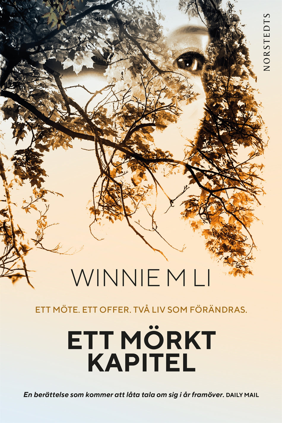 Valokuva kirjasta Winnie M. Li Ett mörkt kapitel, kuuluu tuoteryhmään Ruots kaunokirjat.