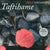 Tuotteen Taftihame (CD) pikkukuva 2