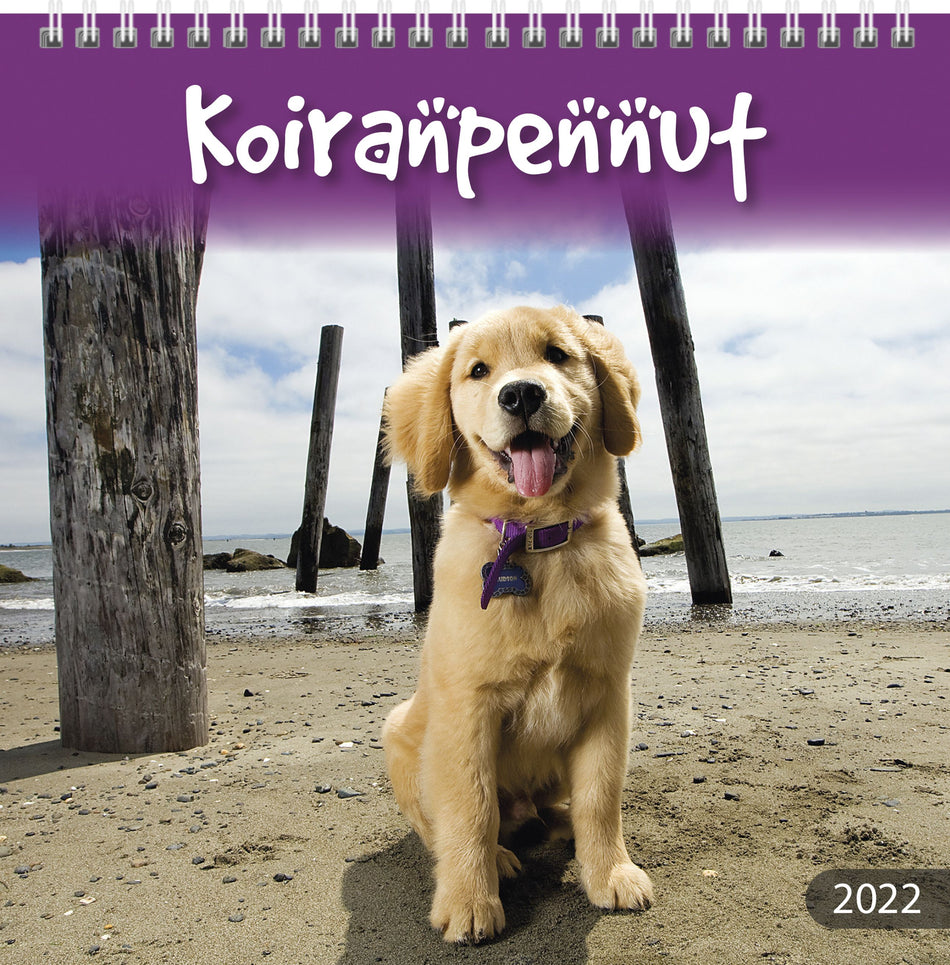 Valokuva tuotteesta Koiranpennut 2022 FSC Mix (seinäkalenteri), kuuluu tuoteryhmään Seinäkalenterit.