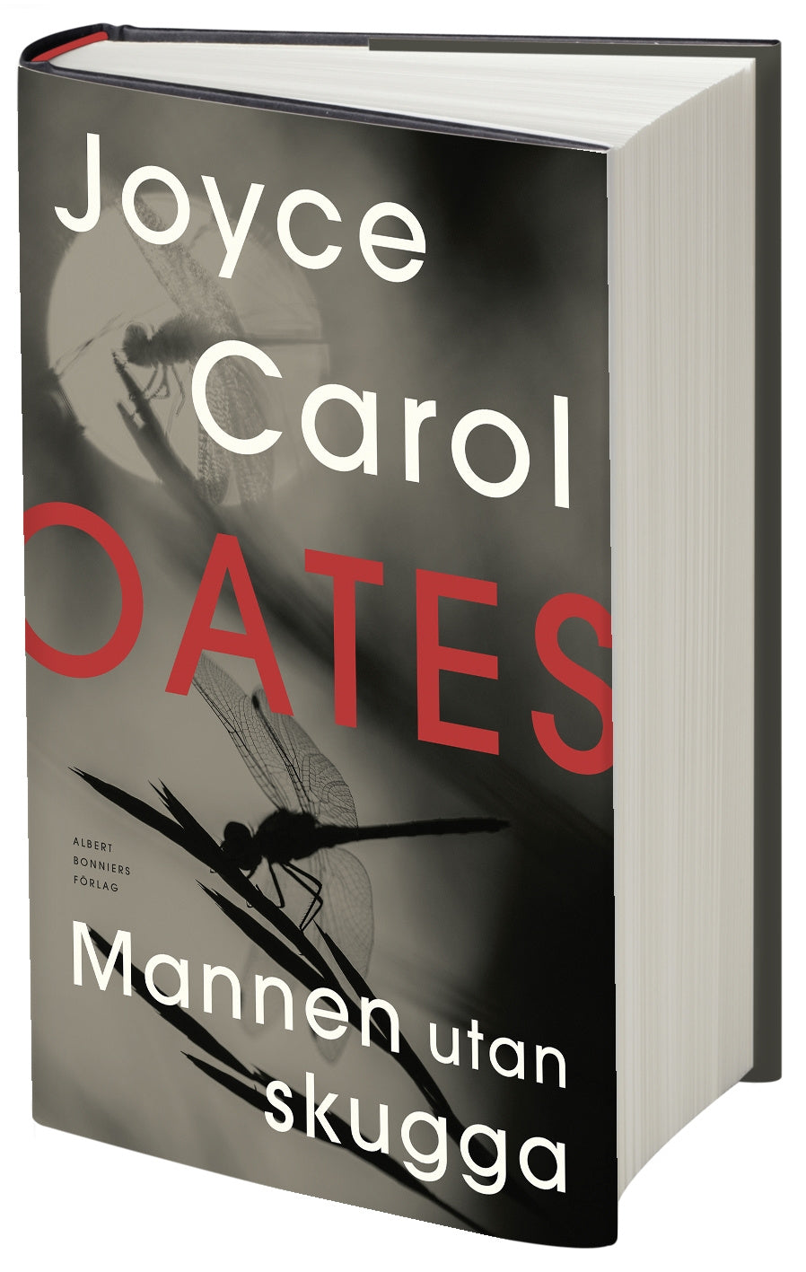 Valokuva kirjasta Joyce Carol Oates Mannen utan skugga, kuuluu tuoteryhmään Ruots kaunokirjat.