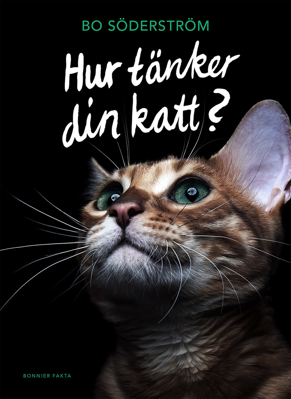 Valokuva kirjasta Bo Söderström Hur tänker din katt?, kuuluu tuoteryhmään Ruots harrasteet taide.