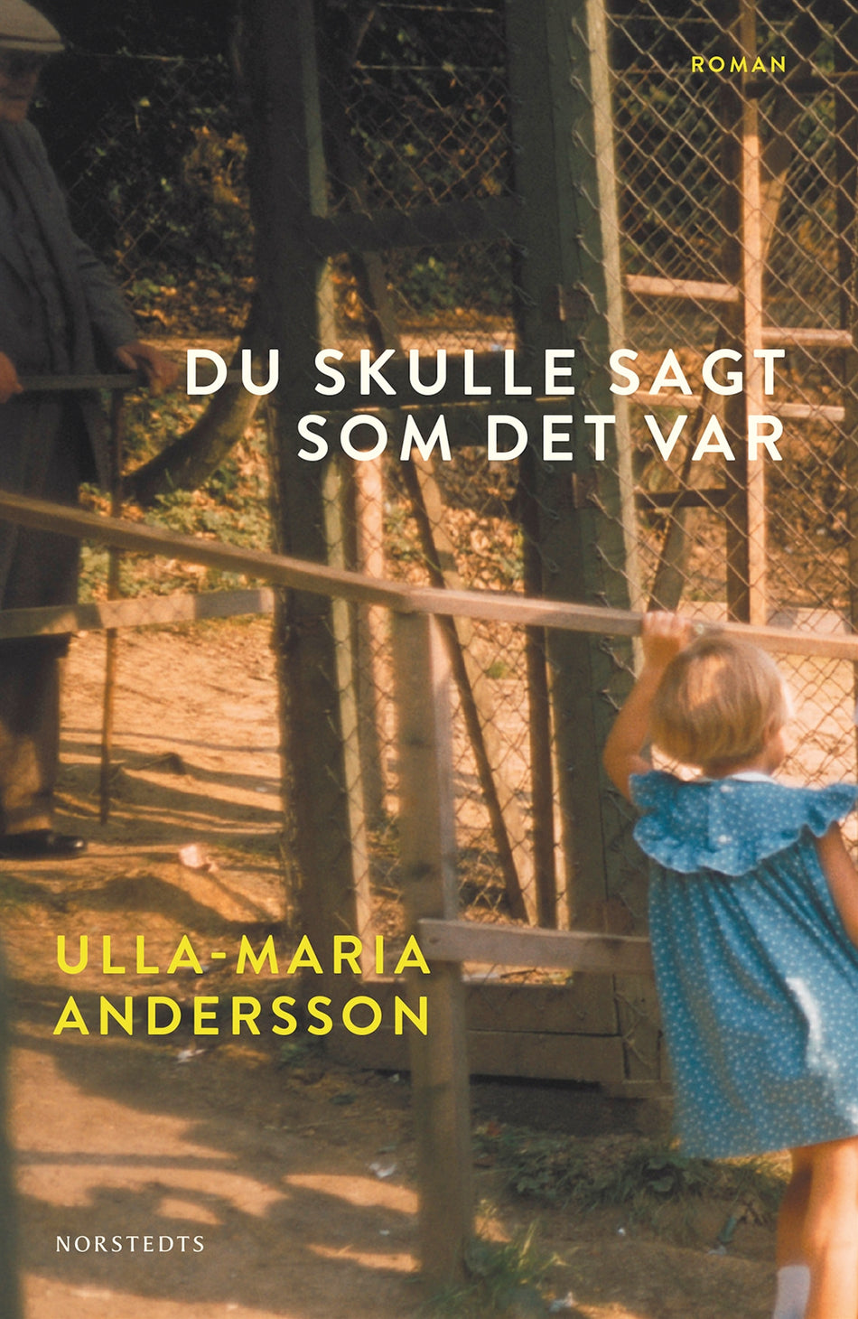Valokuva kirjasta Ulla-Maria Andersson Du skulle sagt som det var, kuuluu tuoteryhmään Ruots kaunokirjat.