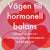 Tuotteen Vägen till hormonell balans : hjärnkoll, sexlust och välmående genom förklimakteriet och klimakteriet pikkukuva 3