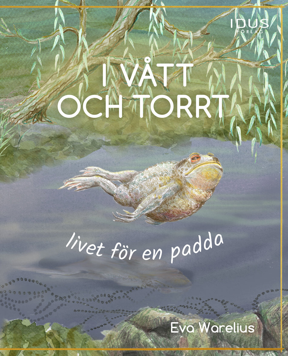 Valokuva kirjasta Eva Warelius I vått och torrt : livet för en padda, kuuluu tuoteryhmään Ruots lapset nuoret ja sarjakuvat.