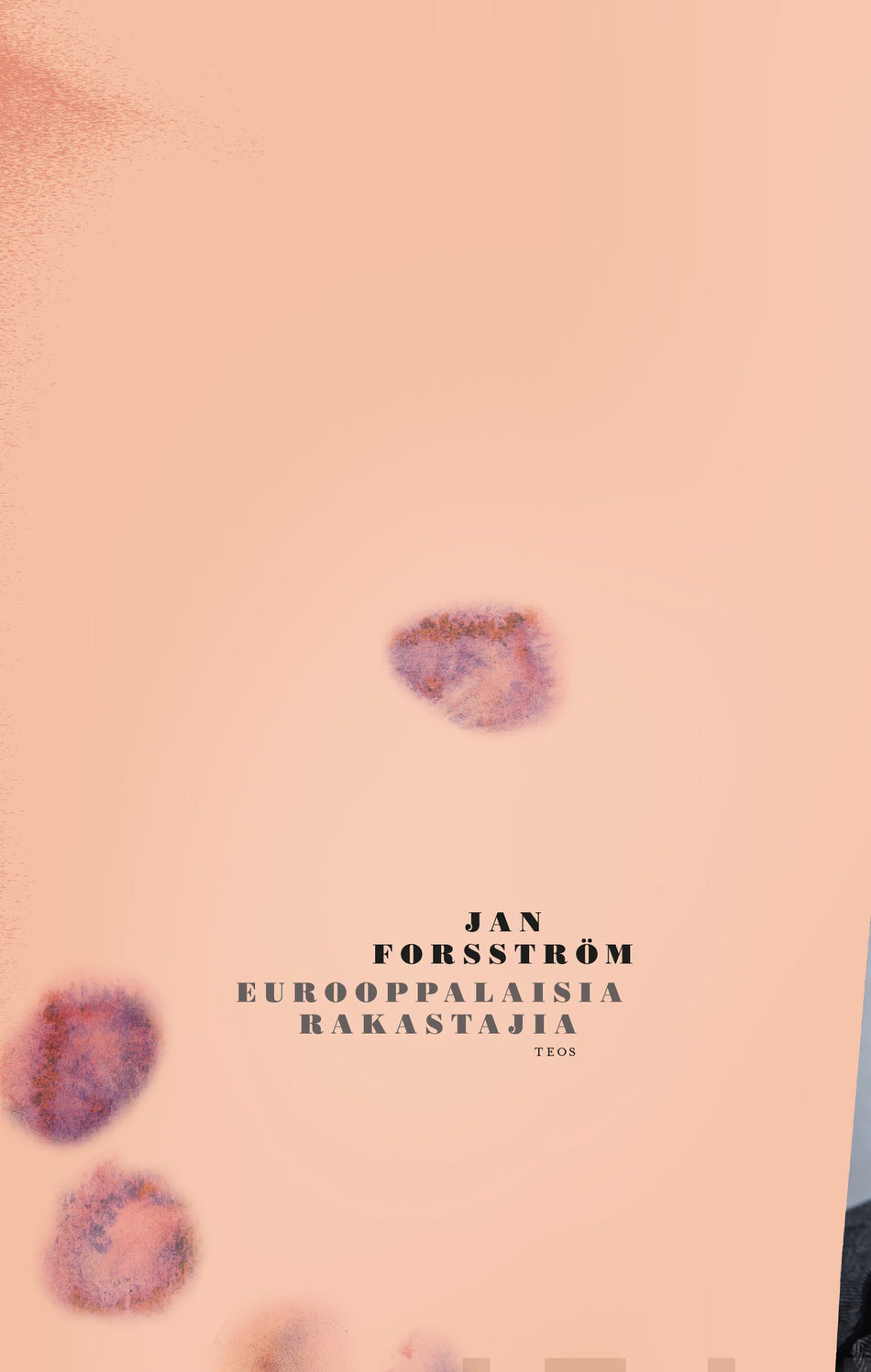 Valokuva kirjasta Jan Forsström Eurooppalaisia rakastajia, kuuluu tuoteryhmään Muut kaunokirjat.