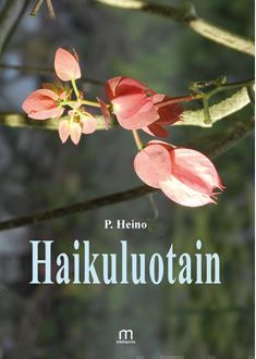 Valokuva kirjasta Pirjo Heino Haikuluotain, kuuluu tuoteryhmään Runot.