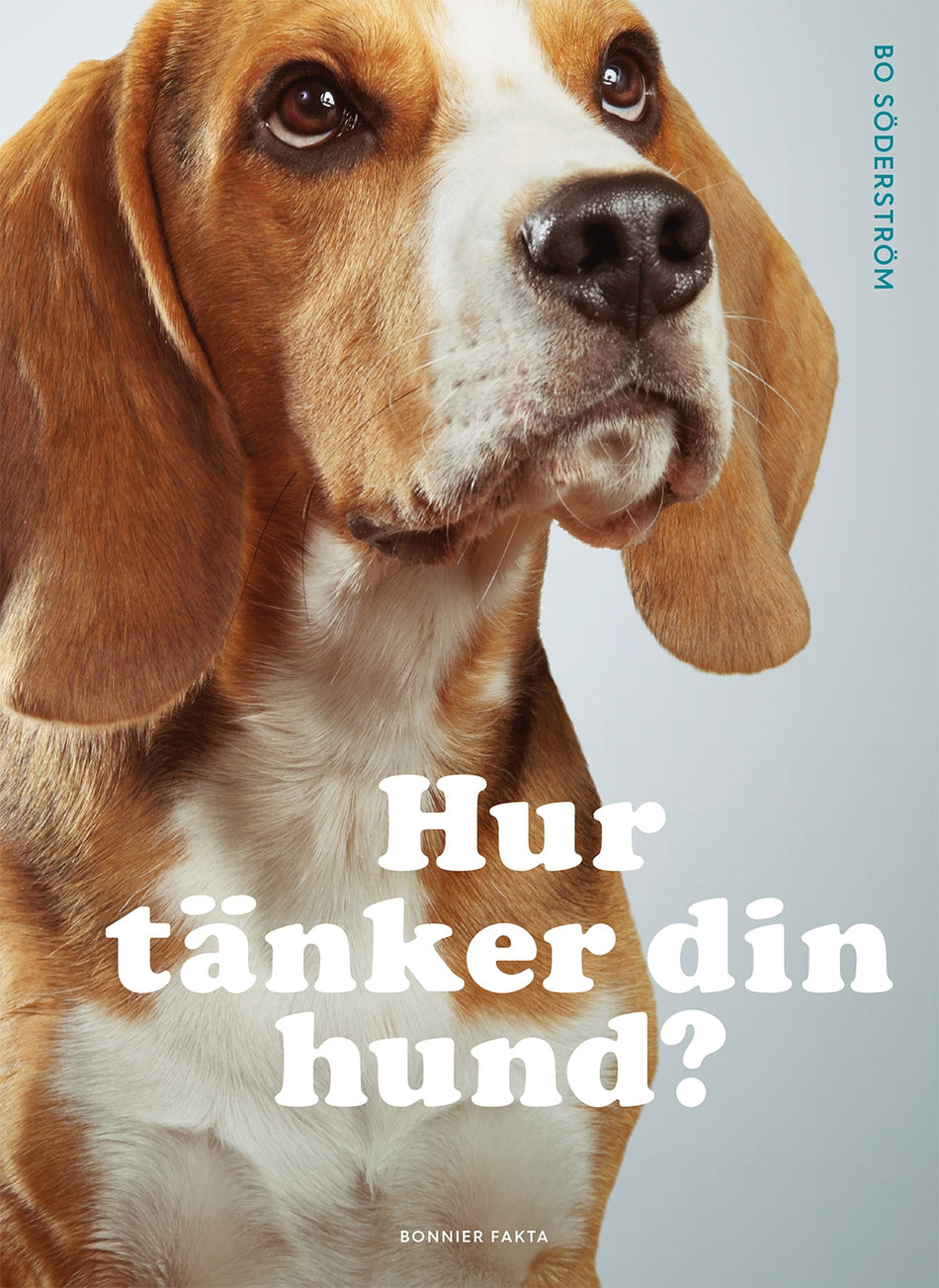 Valokuva kirjasta Bo Söderström Hur tänker din hund?, kuuluu tuoteryhmään Ruots harrasteet taide.