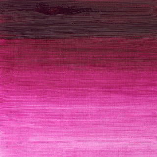 Öljyväri 37ml 380 Magenta W&N Winton