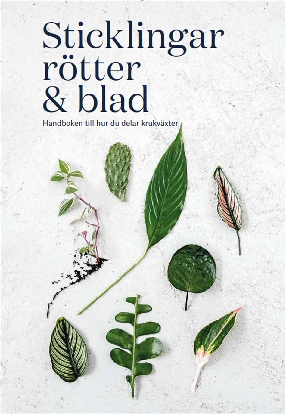 Valokuva kirjasta Rose Ray / Caro Langton Sticklingar, rötter &amp; blad : handbok för att dela krukväxter, kuuluu tuoteryhmään Ruots harrasteet taide.