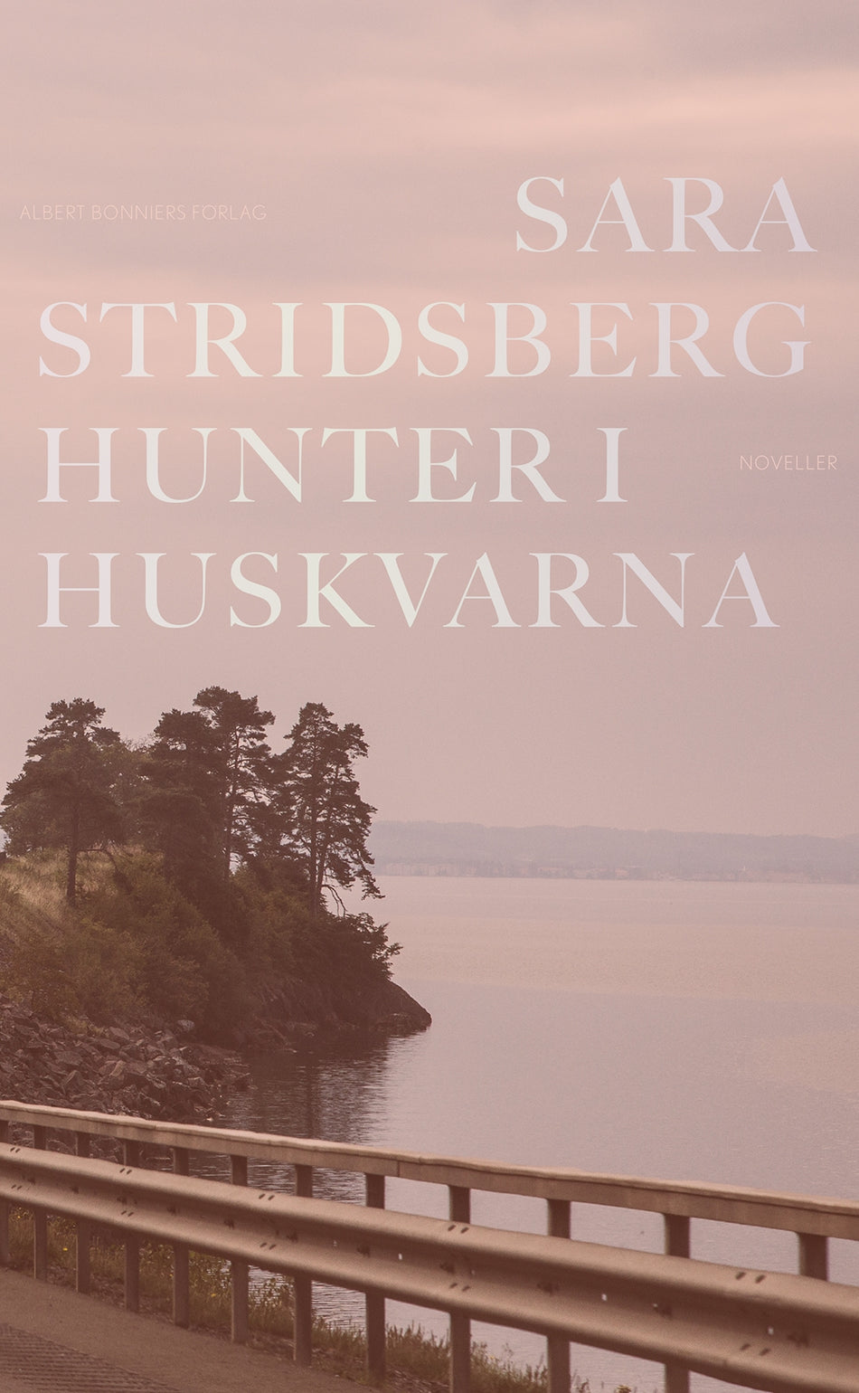 Valokuva kirjasta Sara Stridsberg Hunter i Huskvarna, kuuluu tuoteryhmään Ruots kaunokirjat.
