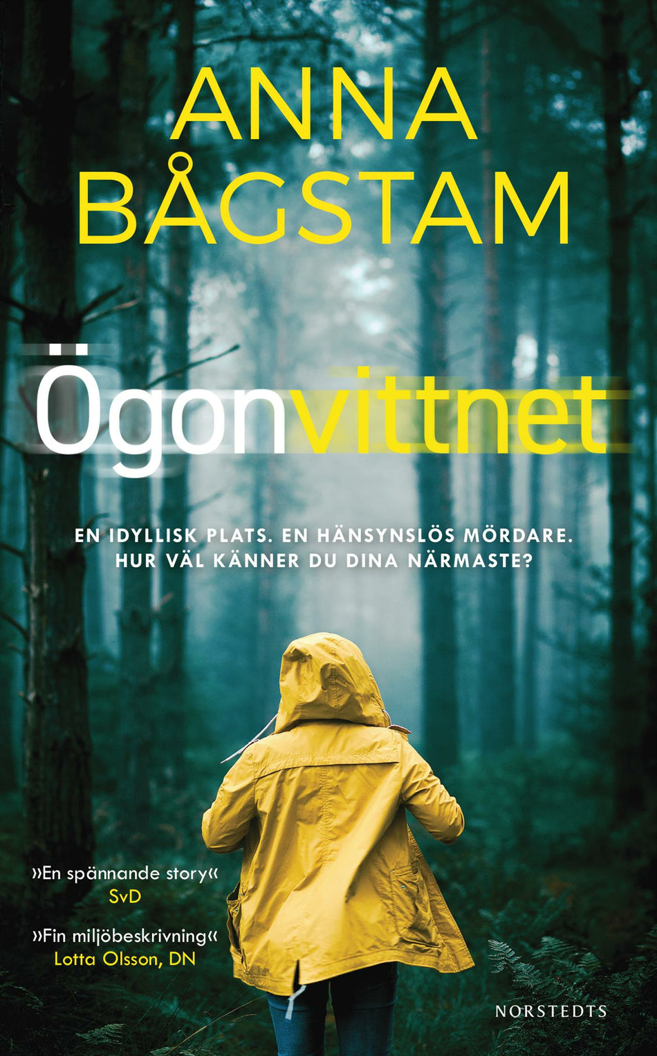 Valokuva kirjasta Anna Bågstam Ögonvittnet, kuuluu tuoteryhmään Ruots kaunokirjat.