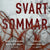 Tuotteen Svart sommar pikkukuva 2