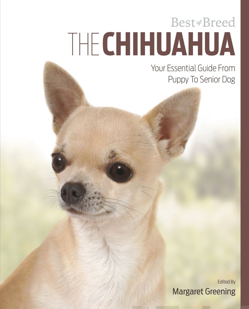 Valokuva kirjasta Margaret Greening Chihuahua, The, kuuluu tuoteryhmään Luonto.