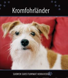 Valokuva kirjasta  Kromfohrländer, kuuluu tuoteryhmään Luonto.