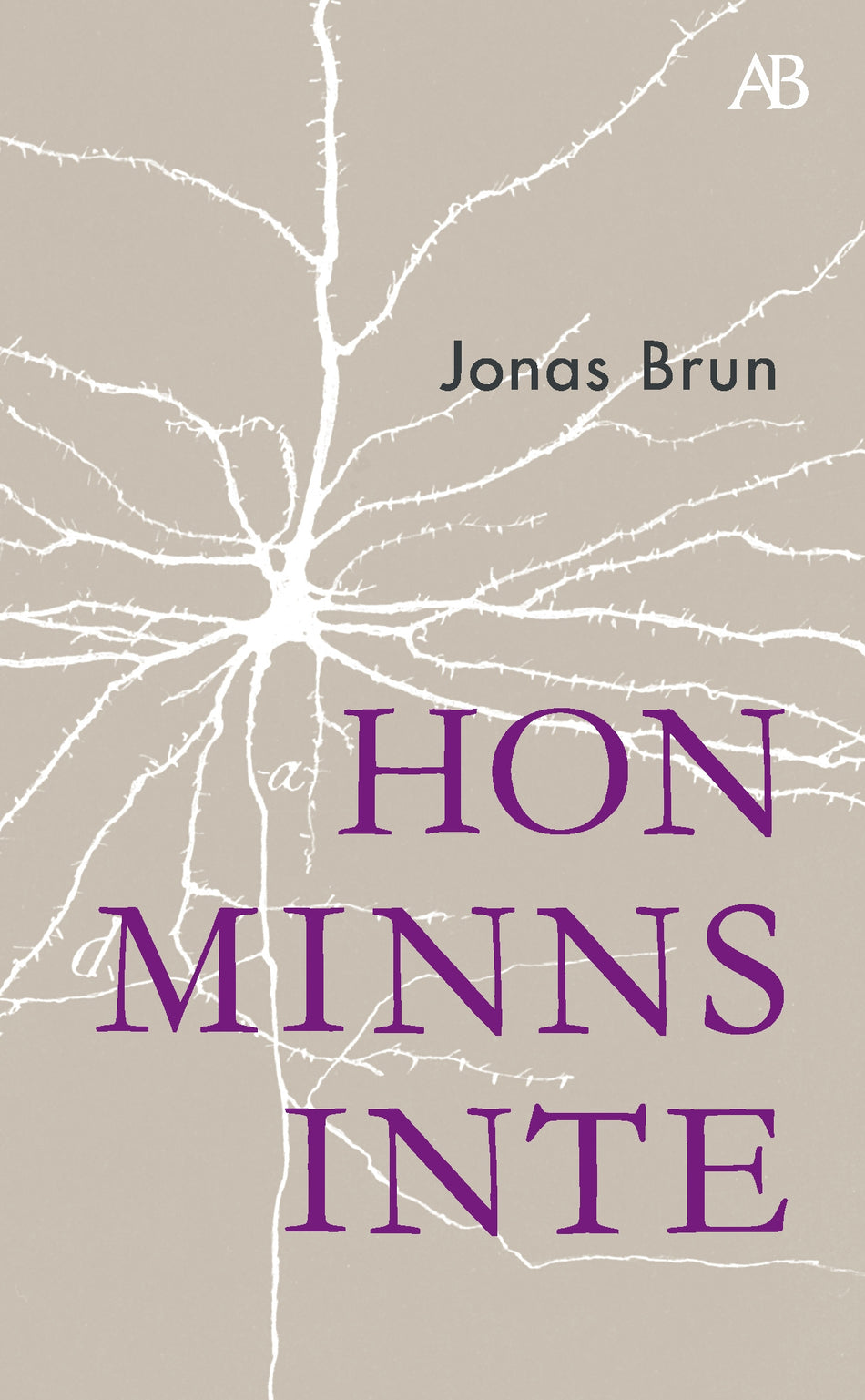 Valokuva kirjasta Jonas Brun Hon minns inte, kuuluu tuoteryhmään Ruots kaunokirjat.