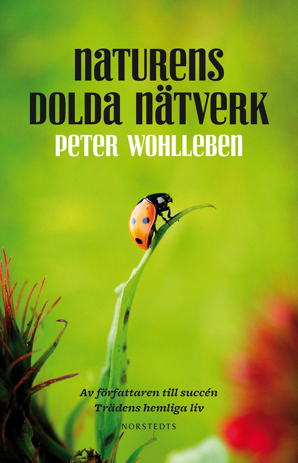 Valokuva kirjasta Peter Wohlleben Naturens dolda nätverk, kuuluu tuoteryhmään Ruots muu tieto.