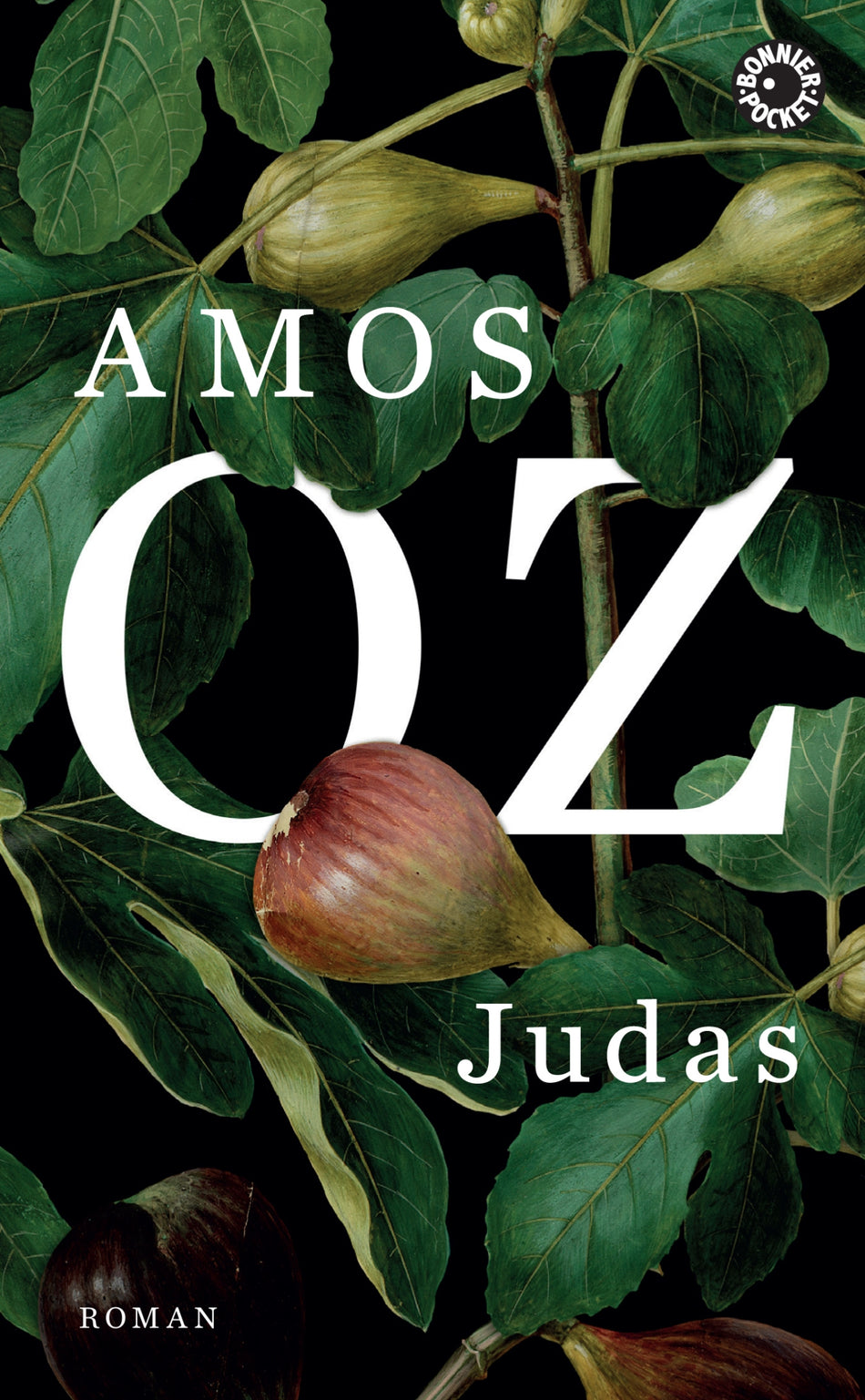 Valokuva kirjasta Amos Oz Judas, kuuluu tuoteryhmään Ruots kaunokirjat.