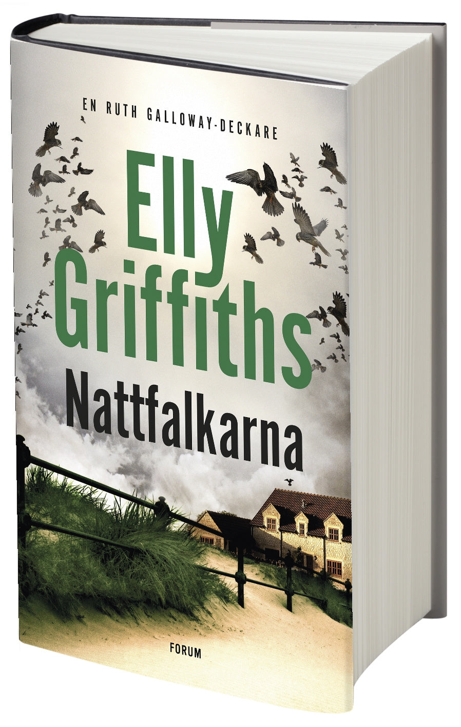 Valokuva kirjasta Elly Griffiths Nattfalkarna, kuuluu tuoteryhmään Ruots kaunokirjat.