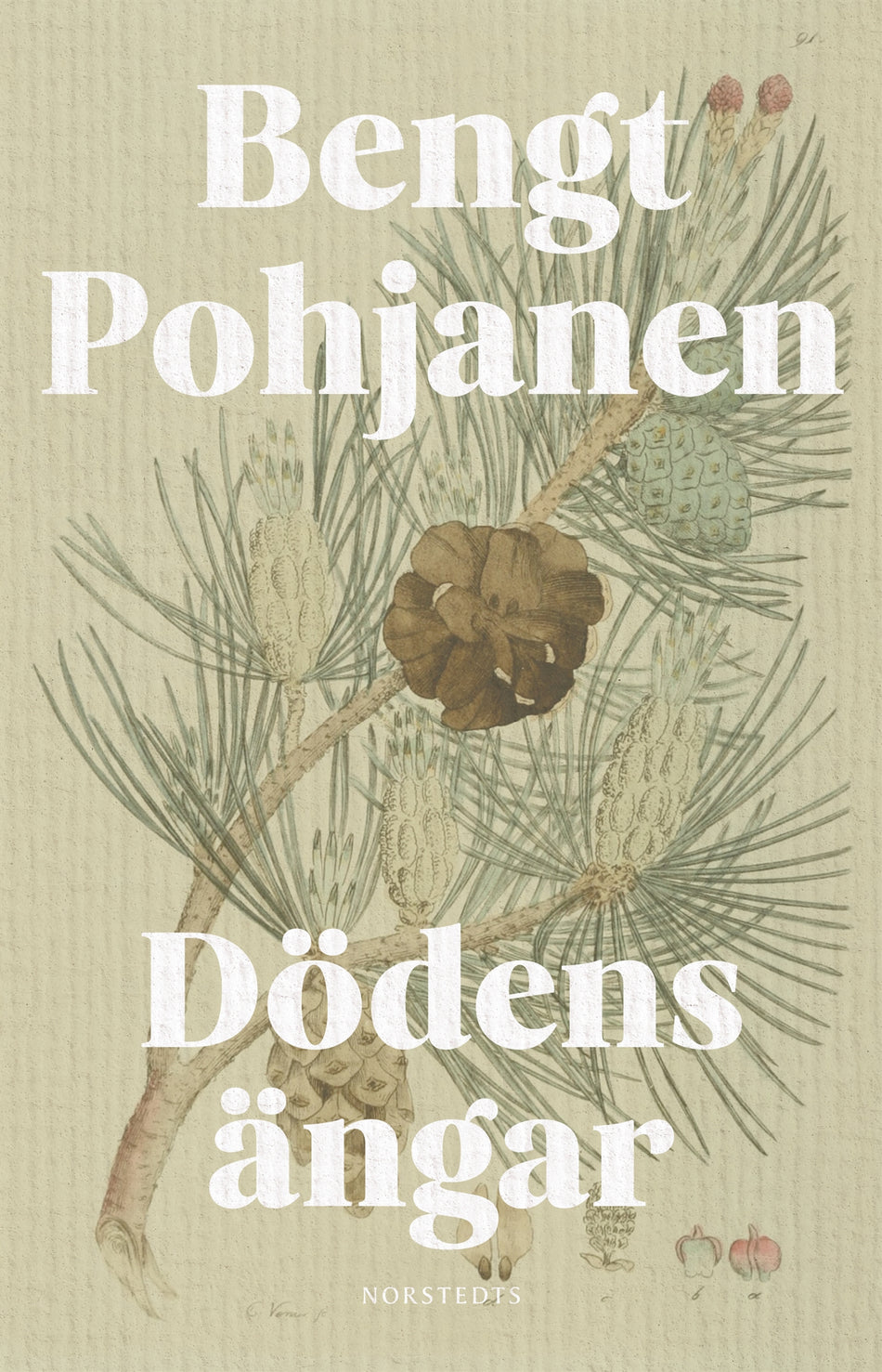 Valokuva kirjasta Bengt Pohjanen Dödens ängar, kuuluu tuoteryhmään Ruots kaunokirjat.