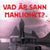 Tuotteen Vad är sann manlighet? pikkukuva 1