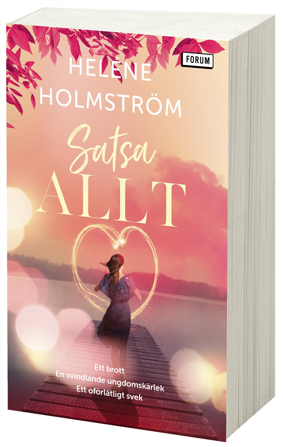Valokuva kirjasta Heléne Holmström Satsa allt, kuuluu tuoteryhmään Ruots kaunokirjat.