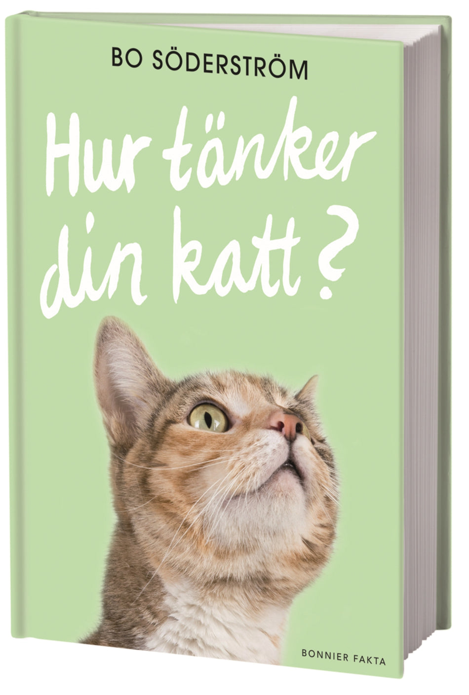 Valokuva kirjasta Bo Söderström Hur tänker din katt?, kuuluu tuoteryhmään Ruots harrasteet taide.