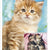Tuotteen Kattkalender 2022 pikkukuva 4
