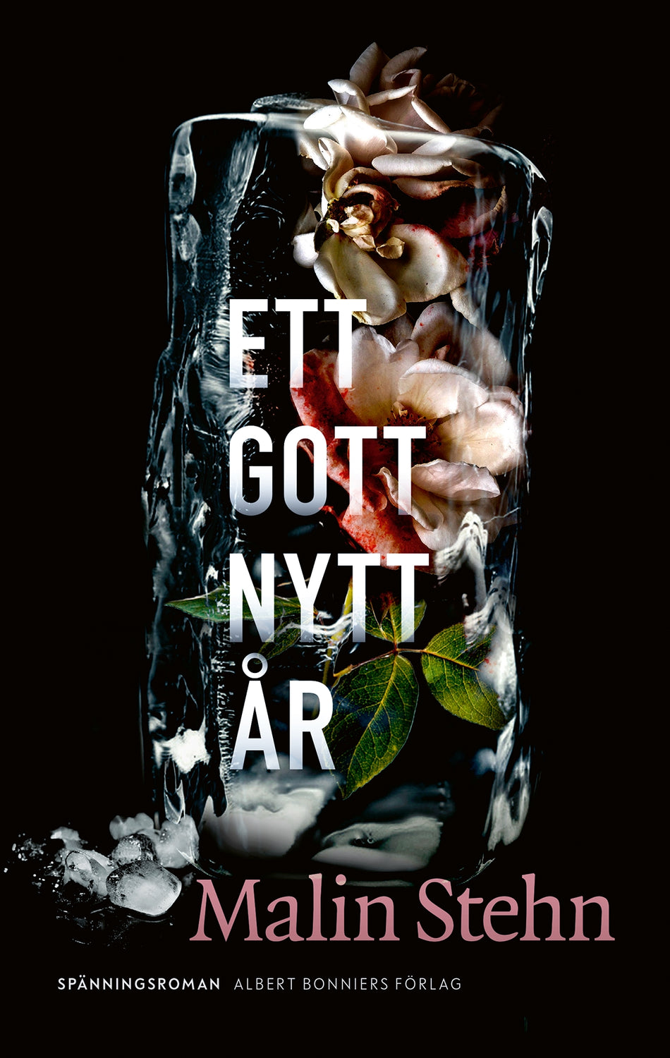Valokuva kirjasta Malin Stehn Ett gott nytt år, kuuluu tuoteryhmään Ruots kaunokirjat.