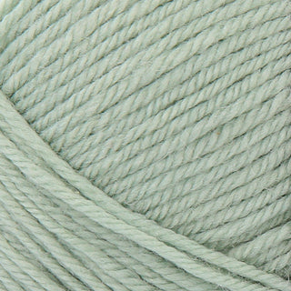 Lanka Novita Wonder Wool 100g 308 jade