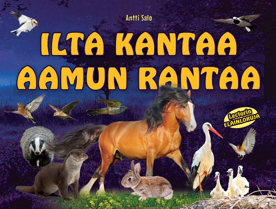 Valokuva kirjasta Antti Salo / Aivo Blum Ilta kantaa aamun rantaa, kuuluu tuoteryhmään Lasten kuvakirjat.