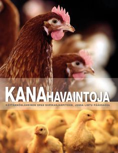 Valokuva kirjasta Monique Bestman / Marko Ruis / Jos Heijmans / Koos van Middelkoop Kanahavaintoja, kuuluu tuoteryhmään Luonto.