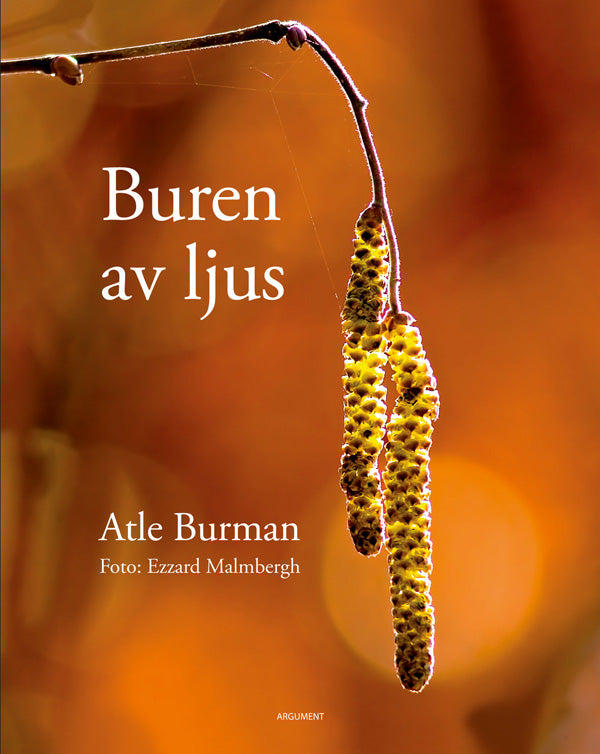 Valokuva kirjasta Atle Burman Buren av ljus, kuuluu tuoteryhmään Ruots muu tieto.