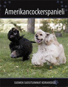 Valokuva kirjasta  Amerikancockerspanieli, kuuluu tuoteryhmään Luonto.