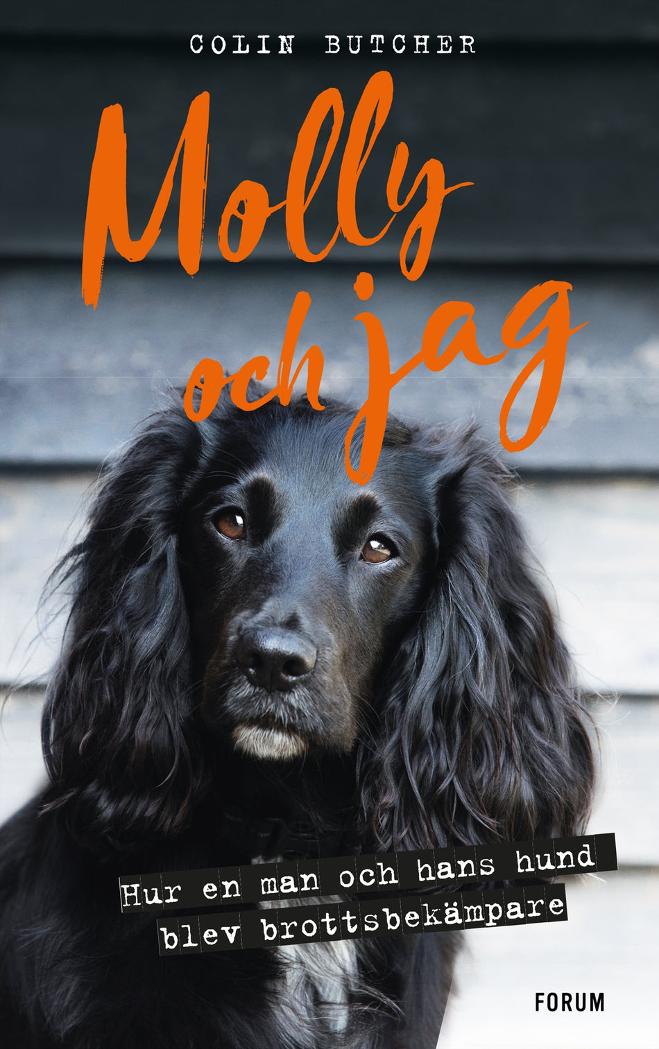 Valokuva kirjasta Colin Butcher Molly och jag : hur en man och hans hund blev brottsbekämpare, kuuluu tuoteryhmään Ruots harrasteet taide.