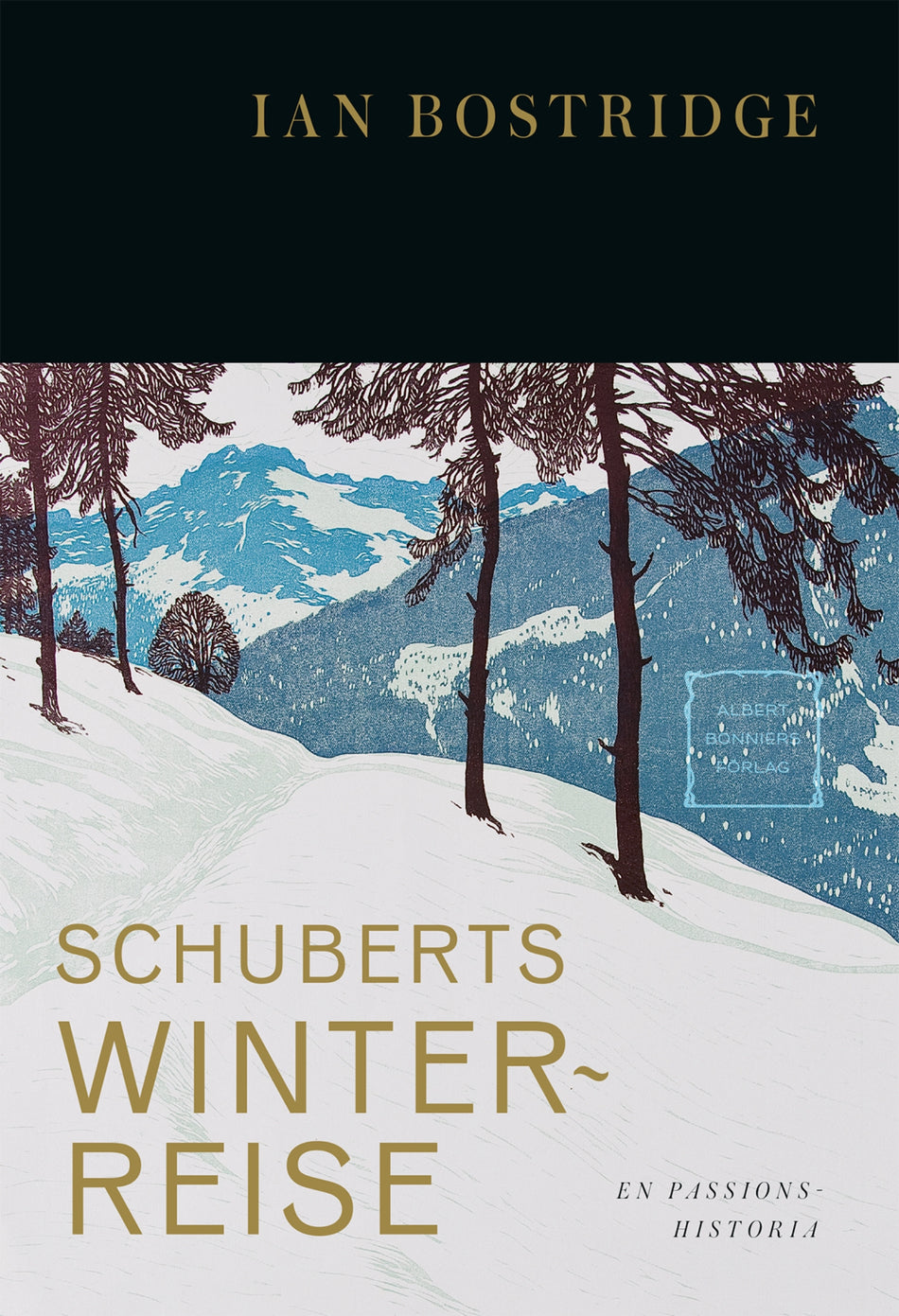 Valokuva kirjasta Ian Bostridge Schuberts Winterreise : en passionshistoria, kuuluu tuoteryhmään Ruots harrasteet taide.