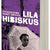 Tuotteen Lila hibiskus pikkukuva 3