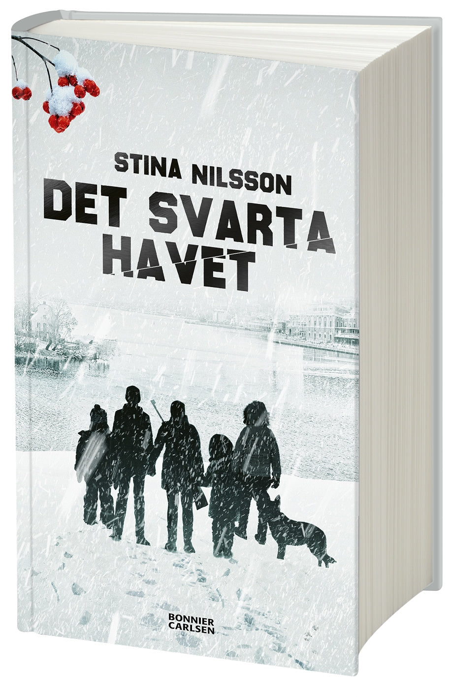 Valokuva kirjasta Stina Nilsson Det svarta havet, kuuluu tuoteryhmään Ruots lapset nuoret ja sarjakuvat.