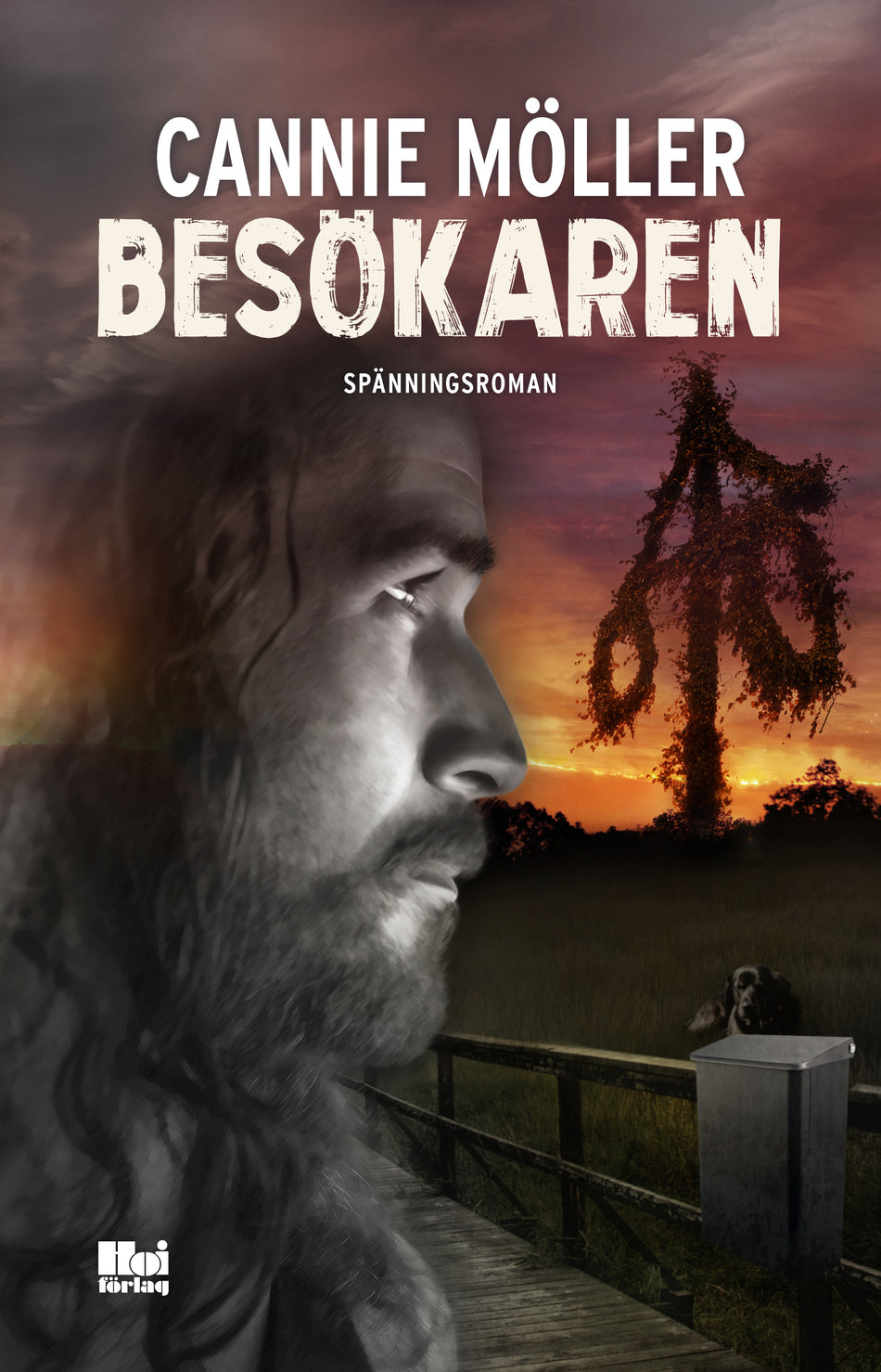 Valokuva kirjasta Cannie Möller Besökaren, kuuluu tuoteryhmään Ruots kaunokirjat.