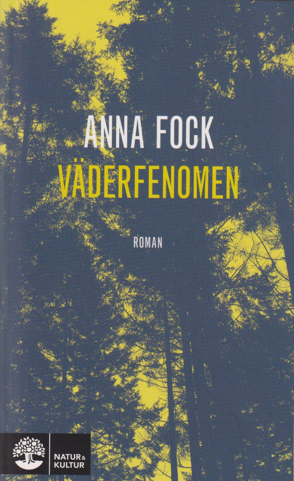 Valokuva kirjasta Anna Fock Väderfenomen, kuuluu tuoteryhmään Ruots kaunokirjat.