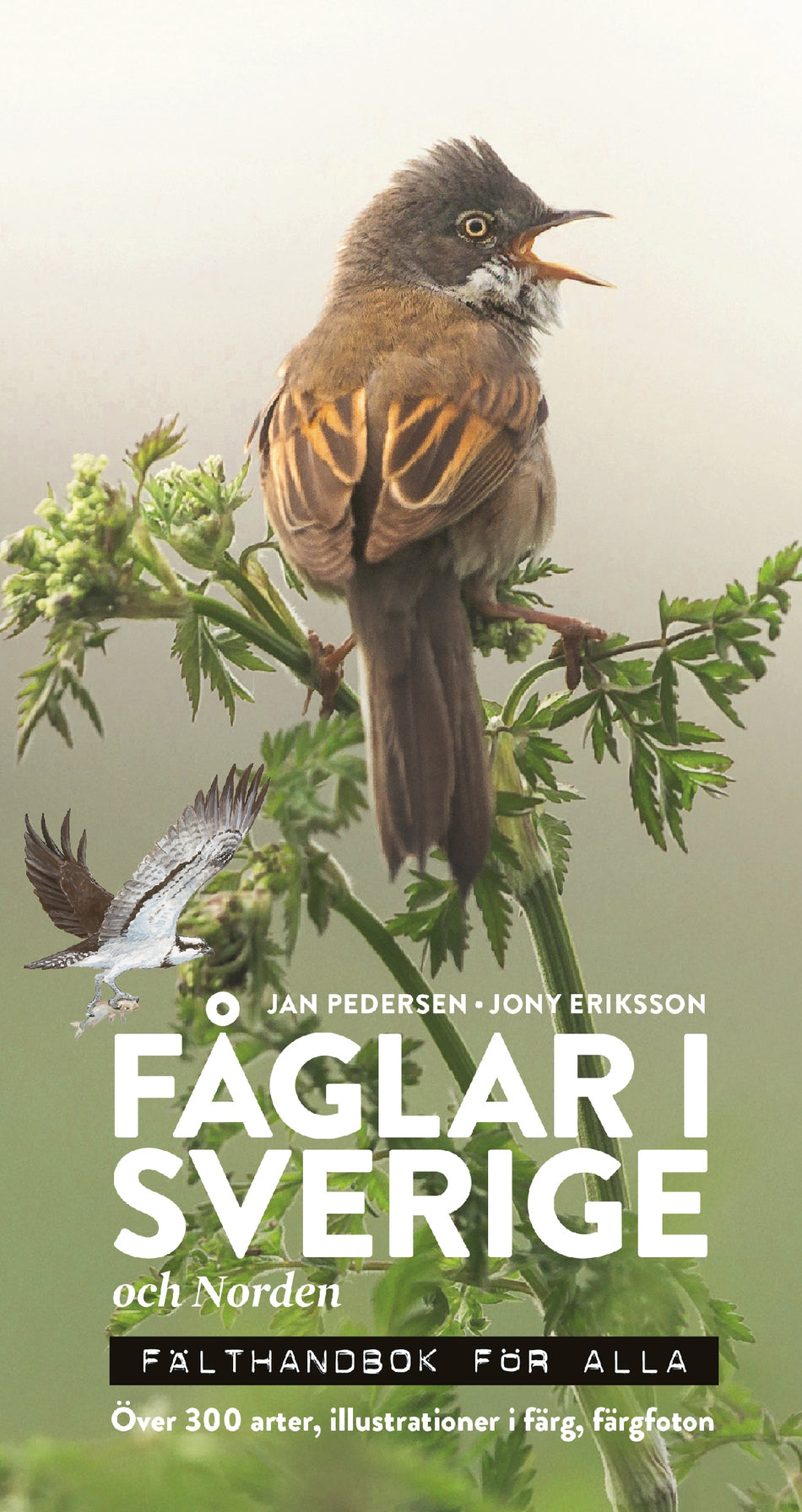 Valokuva kirjasta Jan Pedersen / Jony Eriksson Fåglar i Sverige och Norden : fälthandbok för alla, kuuluu tuoteryhmään Ruots harrasteet taide.