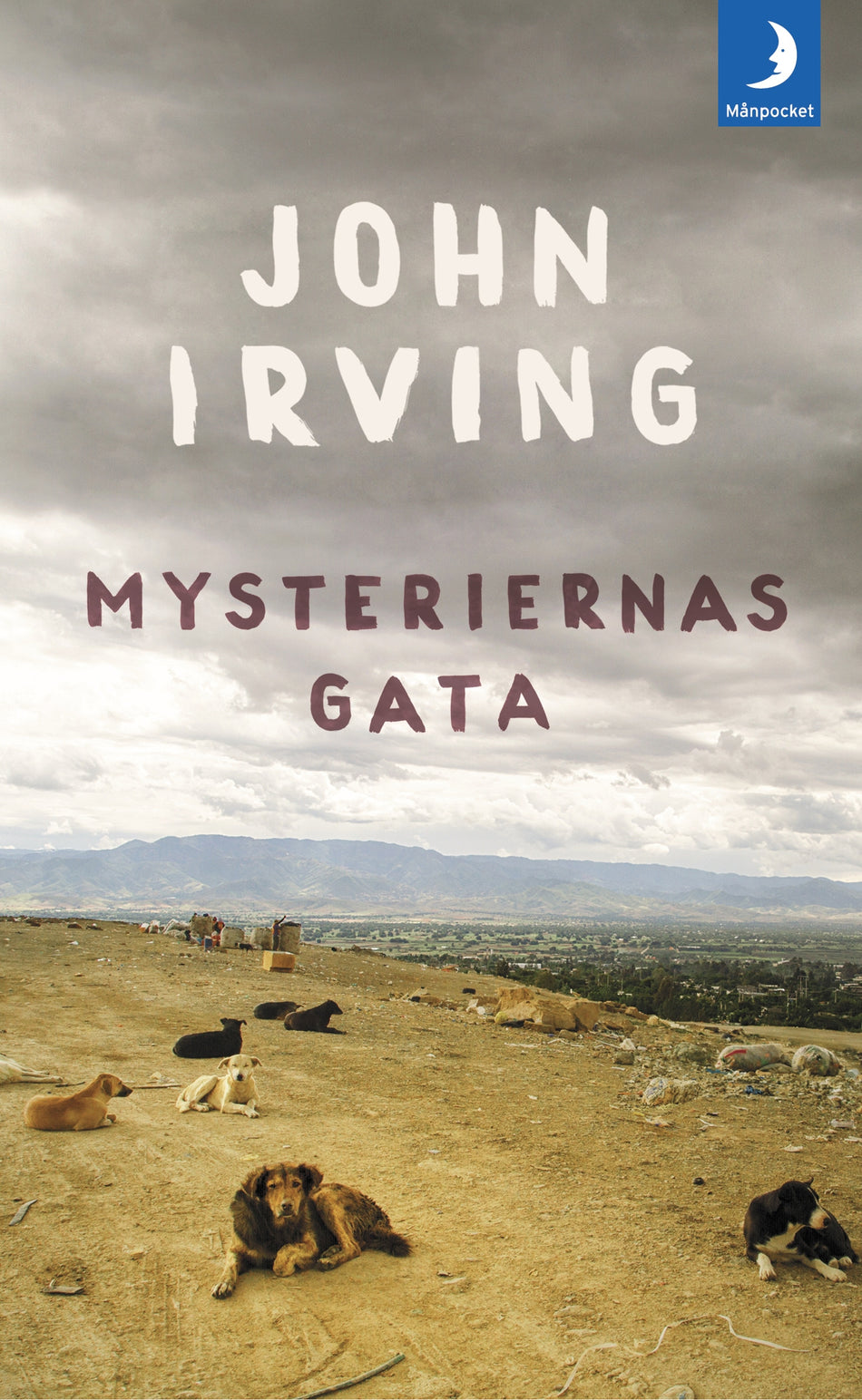 Valokuva kirjasta John Irving Mysteriernas gata, kuuluu tuoteryhmään Ruots kaunokirjat.