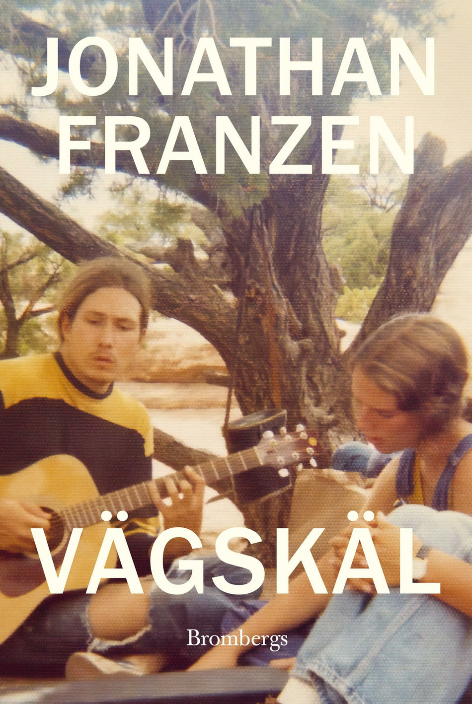 Valokuva kirjasta Jonathan Franzen Vägskäl, kuuluu tuoteryhmään Ruots kaunokirjat.