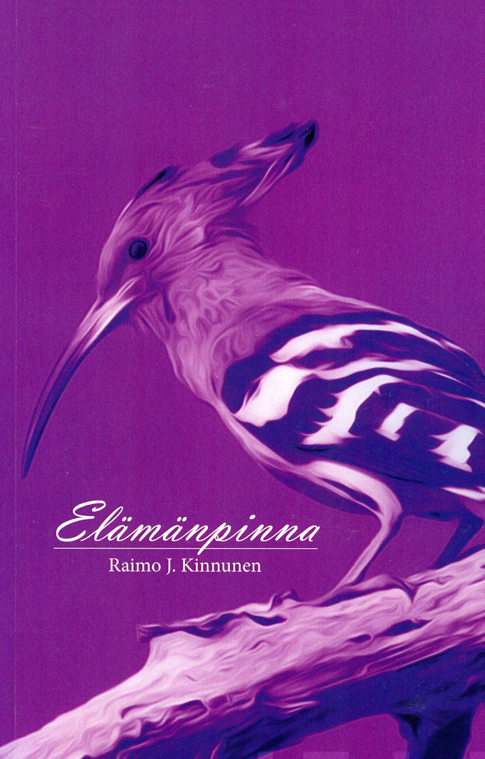 Valokuva kirjasta Raimo J. Kinnunen Elämänpinna, kuuluu tuoteryhmään Muut kaunokirjat.