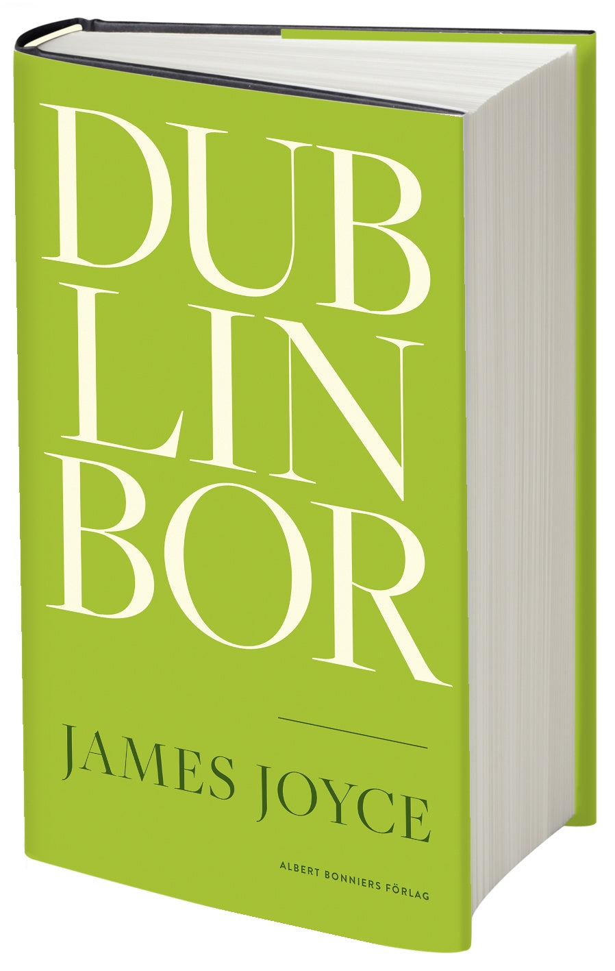 Valokuva kirjasta James Joyce Dublinbor, kuuluu tuoteryhmään Ruots kaunokirjat.