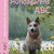 Tuotteen Hundägarens ABC pikkukuva 2